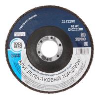 Круг лепестковый торцевой 125х22 Р80, оксид алюминия TOOLBERG