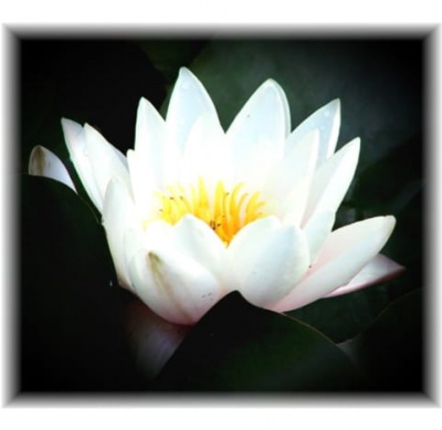 Краска резиновая Супер Декор №00 белоснежная 12кг